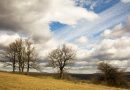 Fotó: Rózsahegyi Ibolya
